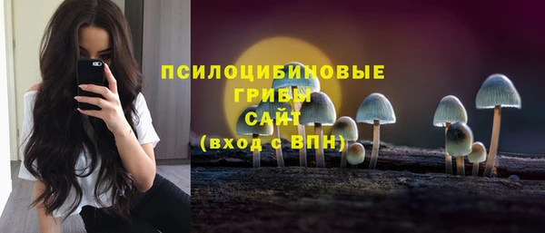 тгк Козловка