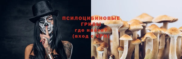 тгк Козловка